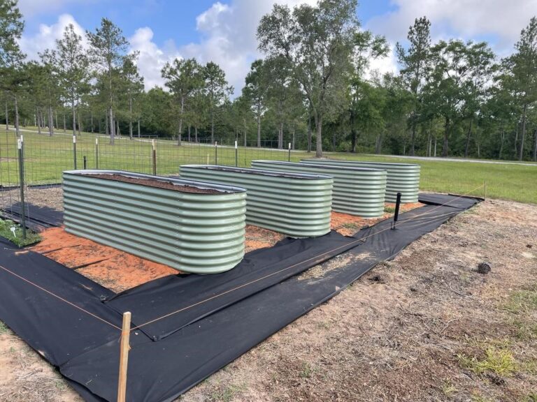 elevated garden boxes